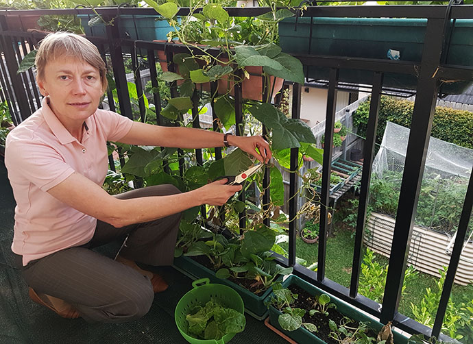 Woman bending on her knee holding scissors to trim edible plants growing on the railing of a first floor balcony. A vegetable patch in the backyard below can be seen through the railing.
