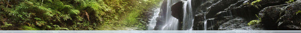 NSW national parks