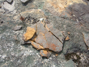 Bushrock is loose, fragile rock found on rock surfaces. Photo: D Pike