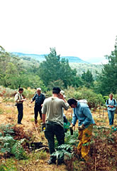 Water courses are protected by good management of the surrounding vegetation