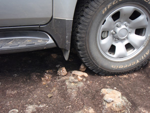 Be mindful of where you tread or drive. Photo: D Pike