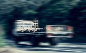 Truck carting bushrock