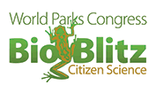 Bioblitz logo