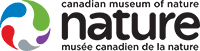 Canadian Museum Logo