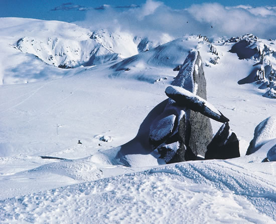 Australian Alps Bioregion Nsw Environment Energy And Science - 