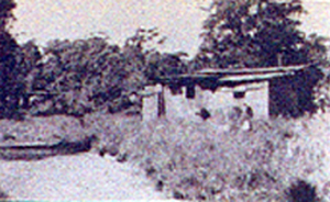Coffs Creek Camp