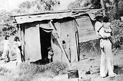 Coffs Creek Camp shack