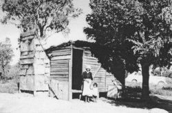 Hut at Green Hills (National Archives of Australia)