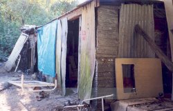 Happy Valley Shack