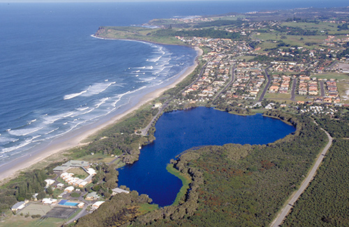 Lake Ainsworth, mangrove and saltmarsh areas Lake Ainsworth, mangrove and saltmarsh areas