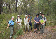 Volunteers in bushland