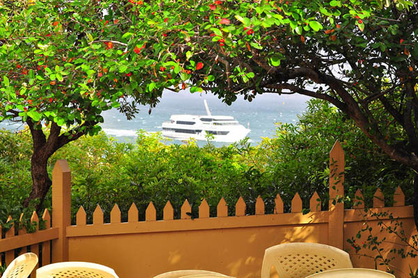 gap bluff cruise ship