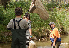Sampling for macroinvertebrates in Wambelong Creek (Erin Roger) Sampling for macroinvertebrates in Wambelong Creek (Erin Roger)
