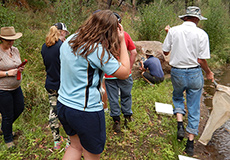 Students collecting samples Students collecting samples