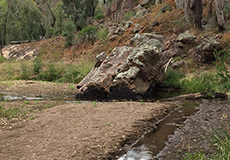 Warrumbungle National Park Warrumbungle National Park