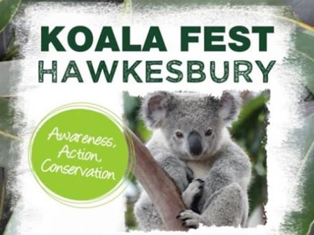 An advertisement for Koala Hawkesbury Fest 2019