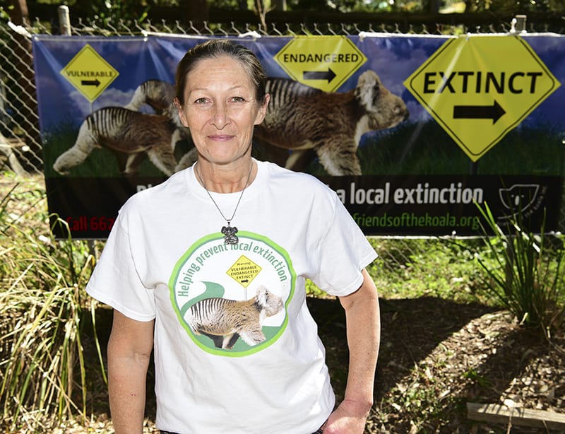 Friends of the Koala