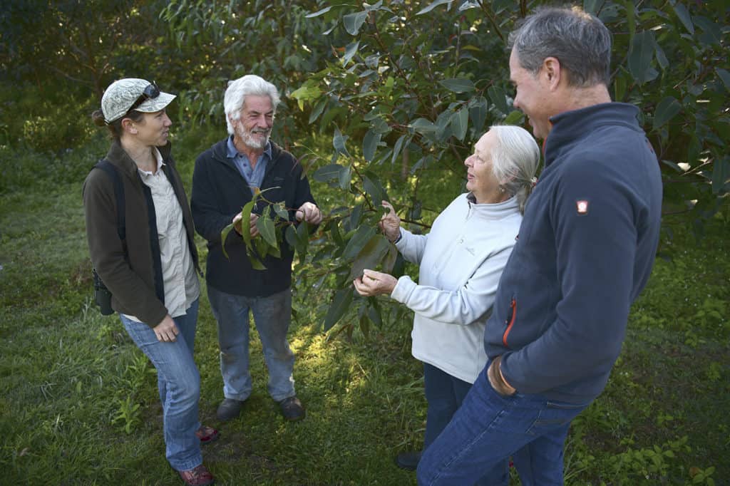 Landholders discuss tree leaves