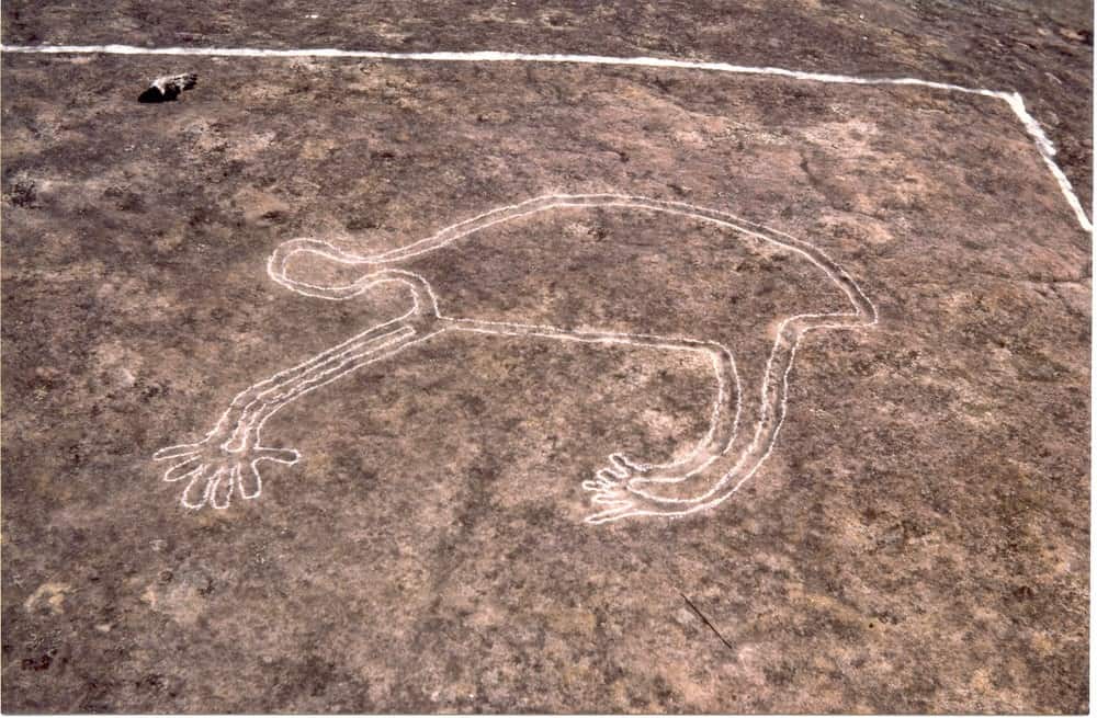 Rock carving of a koala at Blackfellows Head, Westleigh in northern Sydney