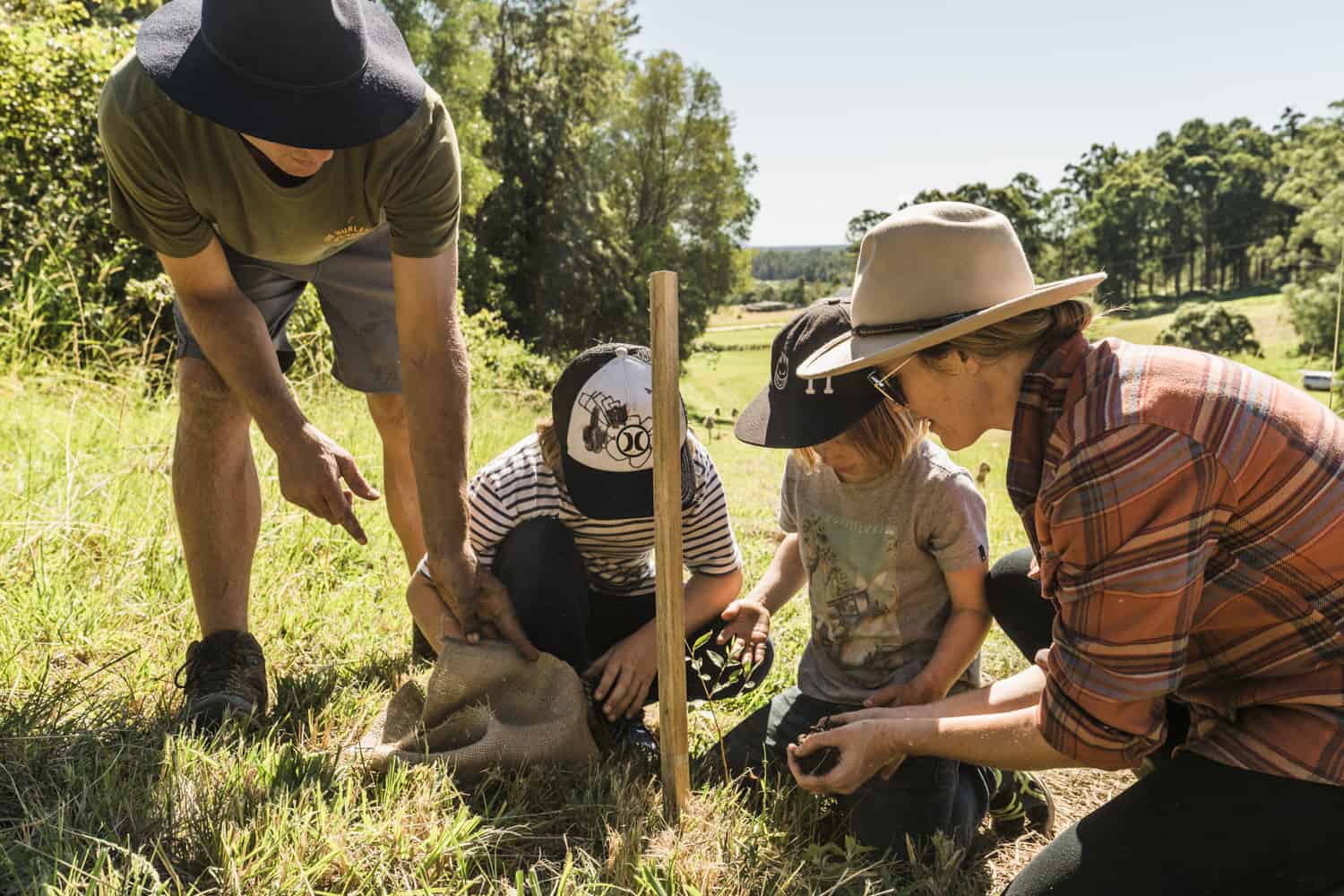 People planting koala trees