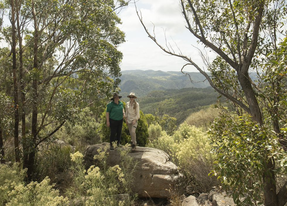 Margot Law, Regional Partnership Officer, and Casey Taylor, Koala Officer