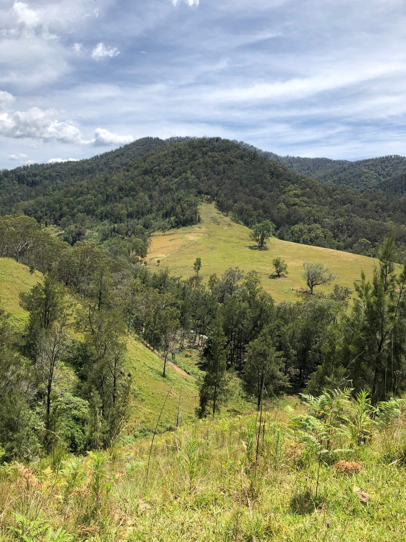 Port Macquarie 'Waterfall' land acquisition