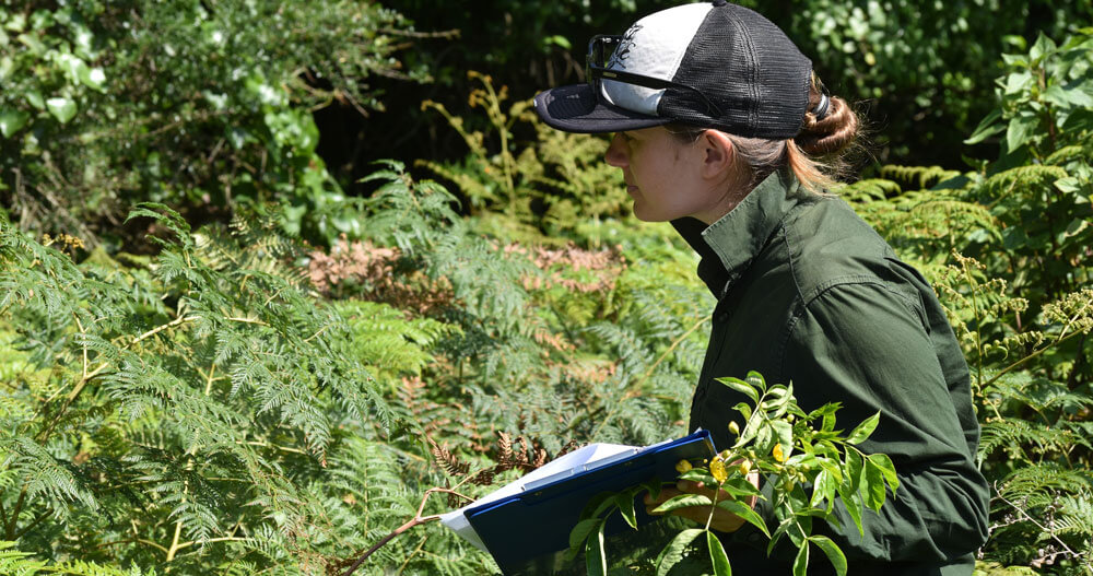 Woman dressed in green long sleeved shirt wearing whit and green hat, carrying clipboard in green bushland