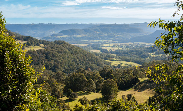 Kangaroo Valley Coast to Highlands farmland native vegetation clearing