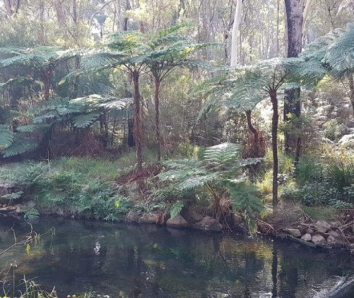 Winmalee Biodiversity Stewardship Agreement site