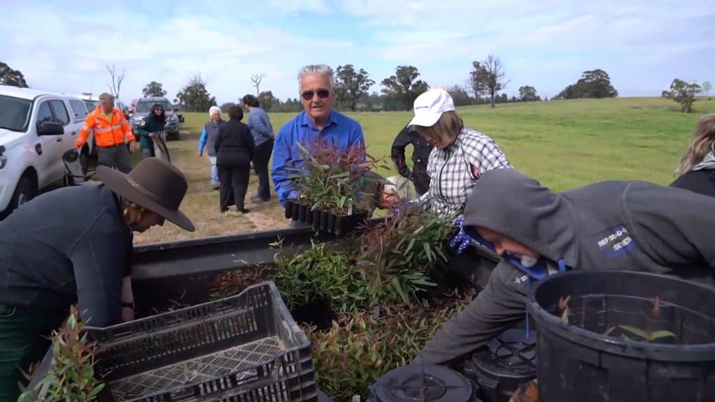 Group tree planting at Guula Ngurra National Park