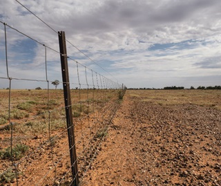 In addition to the wire fence, the image shows a dry, rocky landscape with sparse vegetation. The ground is covered in small rocks, and the sky appears partly cloudy. The fence extends into the distance, dividing the landscape.