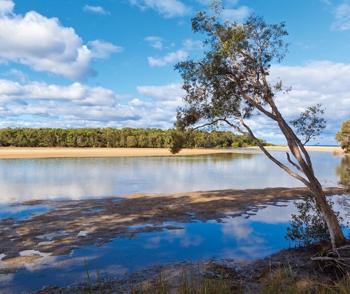 River mouth