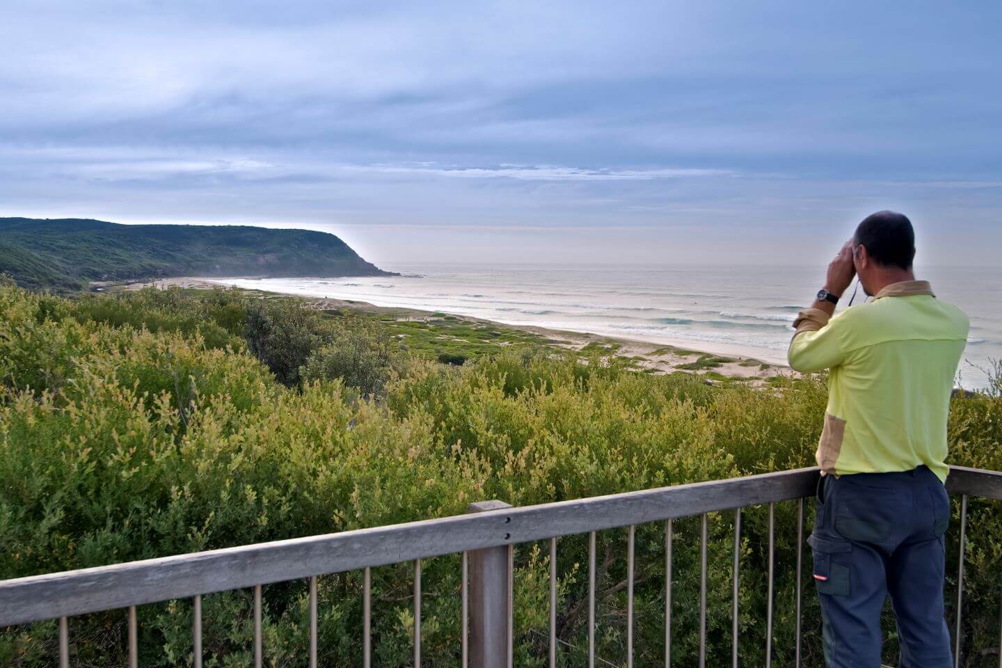 Man wearing National parks uniform standing on a lookout above coastal scrub, looking out to the ocean.