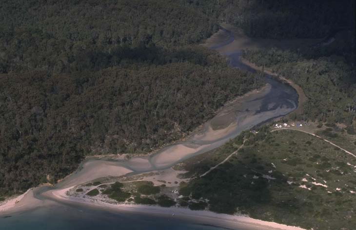 A view of Fisheries Creekmeeting the sea surrounded by national park with Fisheries Beach in the foreground