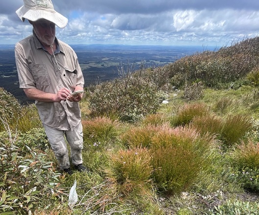 Keith McDougall on Mount Currockbilly