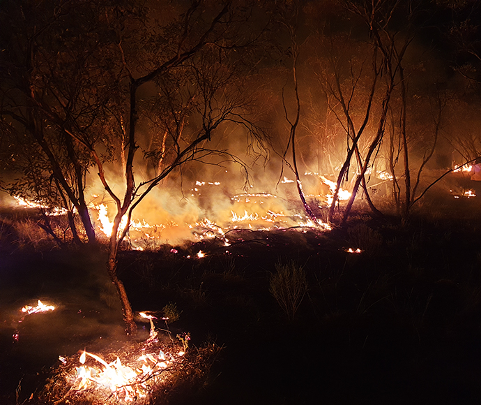 It's dark and small trees and grasses are on fire. The glow is only light yellow indicating the burn is not too hot.