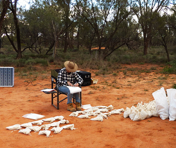 A man sitting on a camping chair on red dirt counting white bags of soil samples