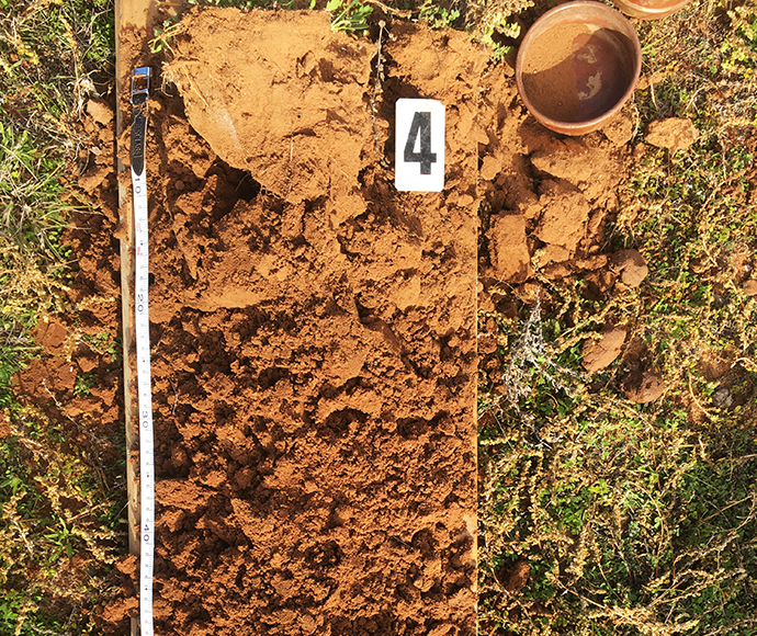 A dug out patch of soil with a ruler next to it and a marker numbered 4