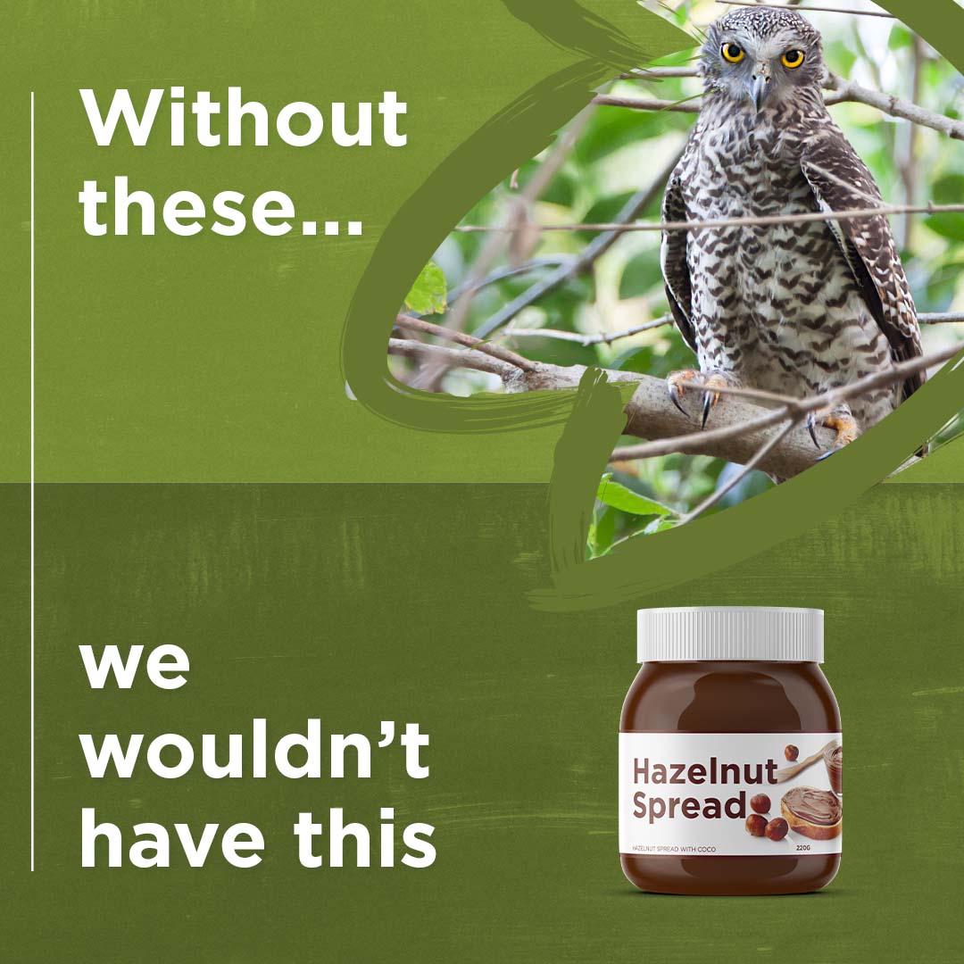 powerful owl and hazelnut spread