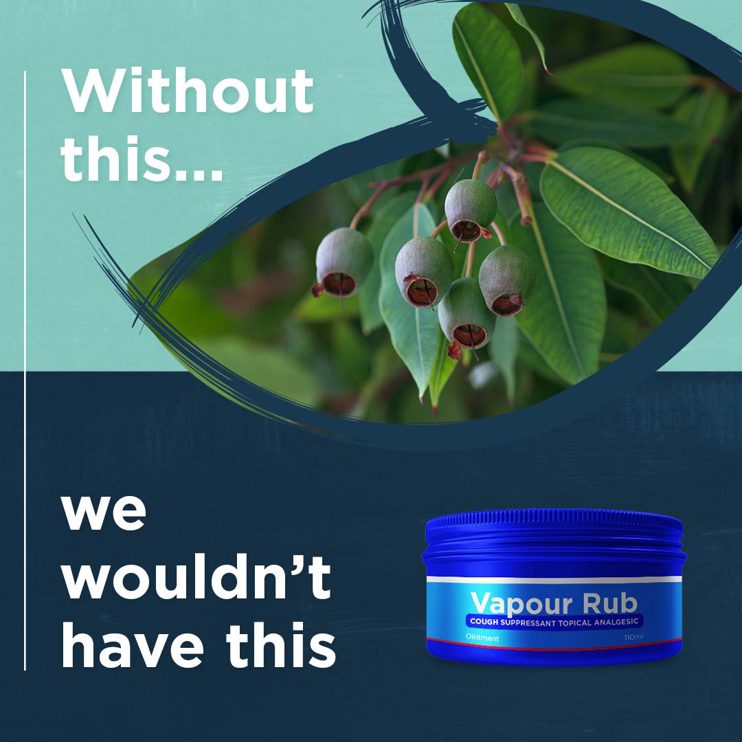 Eucalyptus leaves and Vics Vapour Rub