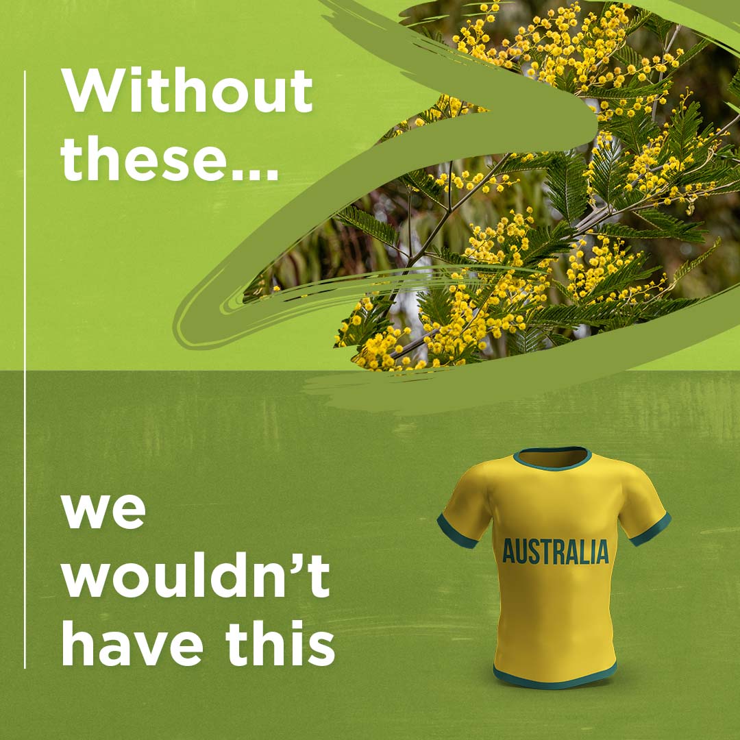wattle and Australian sports jersey