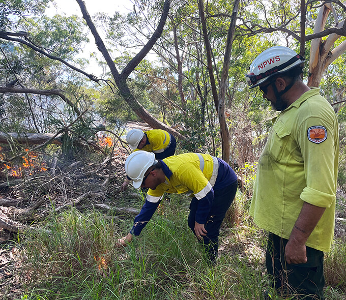 An Aboriginal ranger supervises two staff lighting native grasses for a cultural burn