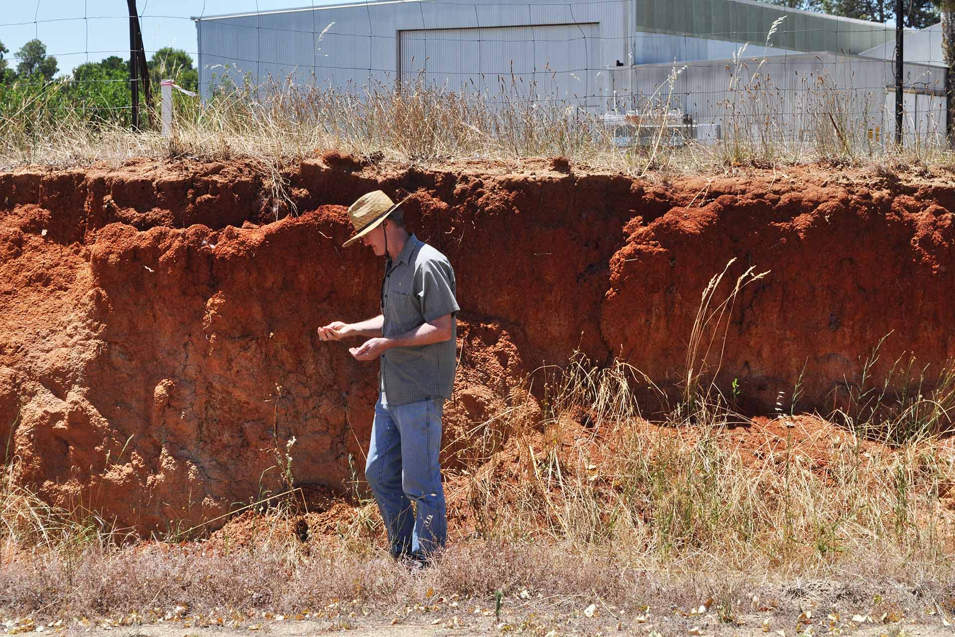 A person stands next to a large soil erosion site, examining the exposed layers of earth