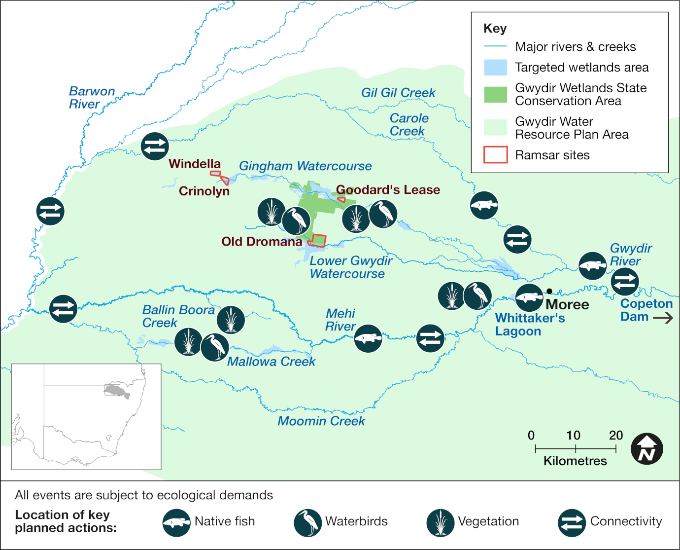 Map of the Gwydir catchment area showing priority targets and volumes of environmental water to be delivered in 2024-25. The map includes icons to indicate locations of planned water releases that aim to support native fish breeding and dispersal, waterbirds, vegetation, and improve river channel condition and connectivity.