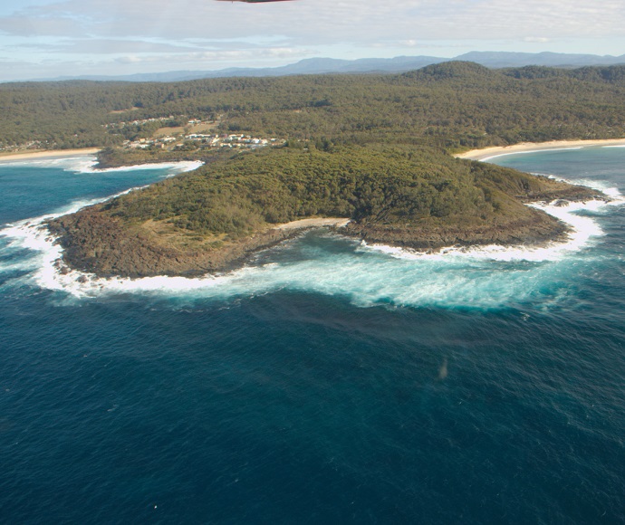 Aerial view of a small island featuring a sandy beach bordered by a lush green forest, surrounded by clear blue waters.