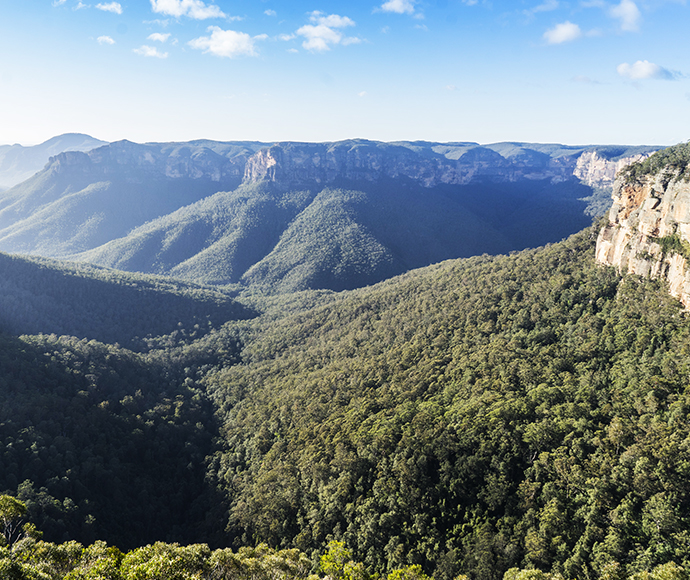 View of the Grose Valley, Blue Mountains National Park. Lush green forest through rolling hills under a bright blue sky.
