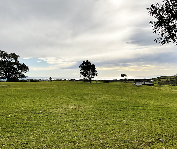 Grassy park with a solitary tree and picnic bench under a cloudy sky.