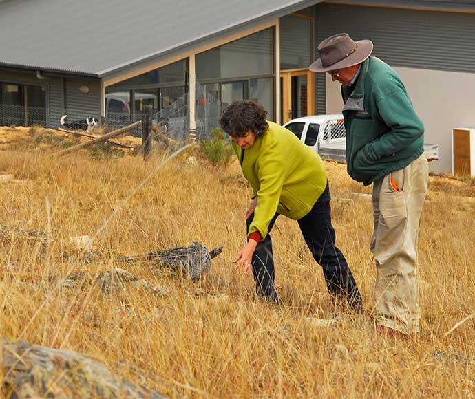 Landowners inspecting native grasses on their Gundharwar property