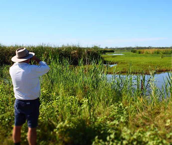 A person from behind, wearing a hat and shorts, looking through binoculars towards a landscape with tall green grasses, water, and a clear blue sky. This serene outdoor setting suggests activities like bird watching or nature observation.