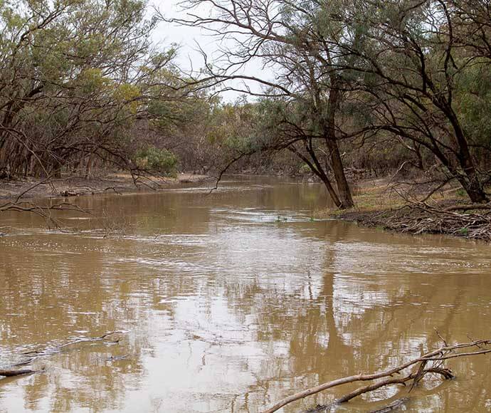 A photograph of a muddy river surrounded by dense greenery and trees with overhanging branches. The water reflects the cloudy sky above, and there are visible ripples on the surface. The riverbanks are not clearly defined due to the surrounding foliage, suggesting a natural, untamed environment